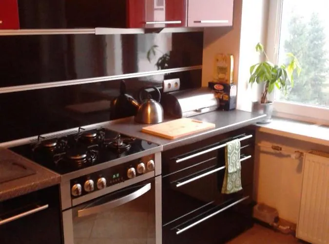 Rodzinny 2 Pokojowy. Widok Na Sniezke. 公寓 *