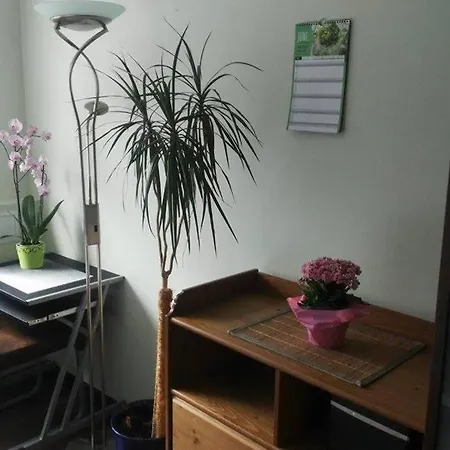 Apartmán Rodzinny 2 Pokojowy. Widok Na Sniezke. *