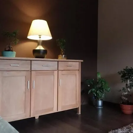 Appartement Rodzinny 2 Pokojowy. Widok Na Sniezke. Karpacz