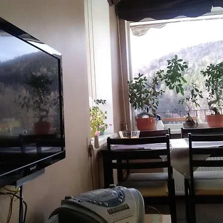 Rodzinny 2 Pokojowy. Widok Na Snieżke. Apartament *